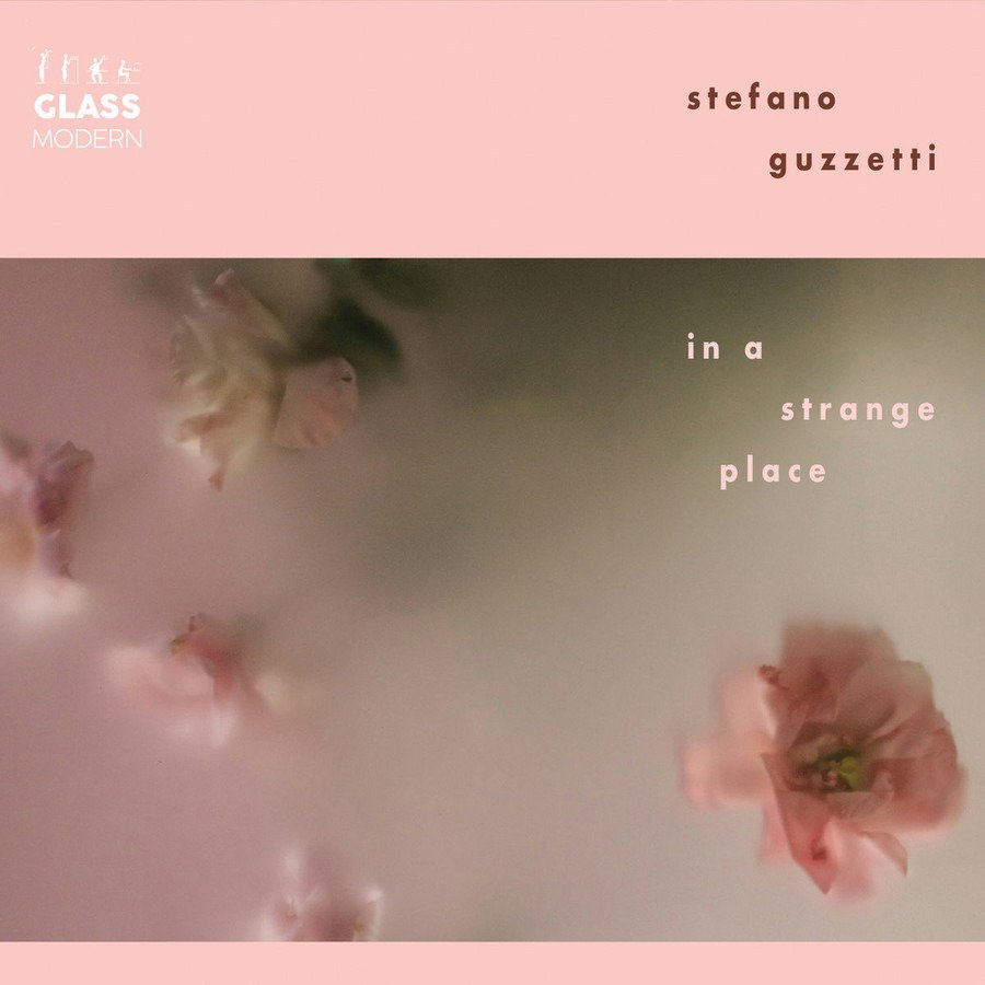 CD Shop - STEFANO GUZETTI IN A STRANGE PLACE