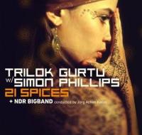 CD Shop - TRILOK GURTU 21 SPICES