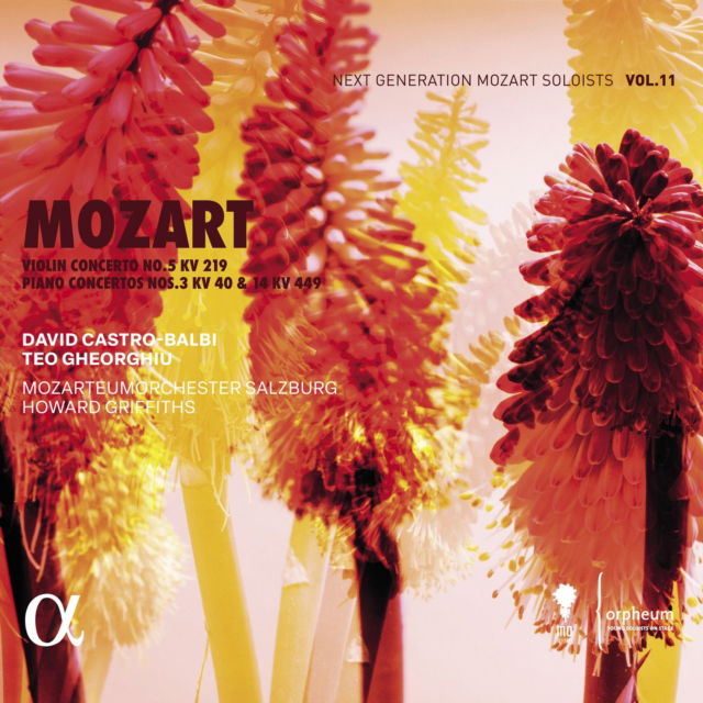 CD Shop - MOZARTEUMORCHESTER SALZBURG MOZART: VIOLIN CONCERT...