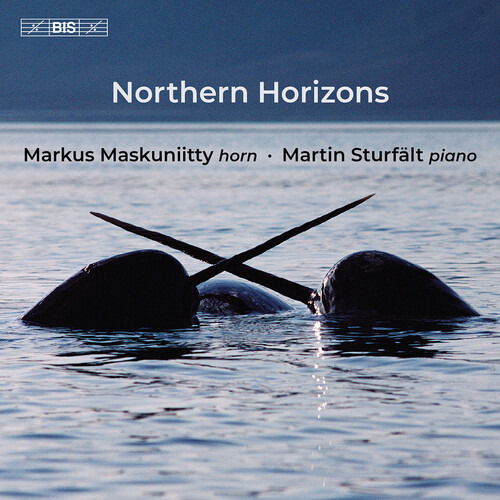 CD Shop - MARKUS MASKUNIITTY NORTHERN HORIZONS