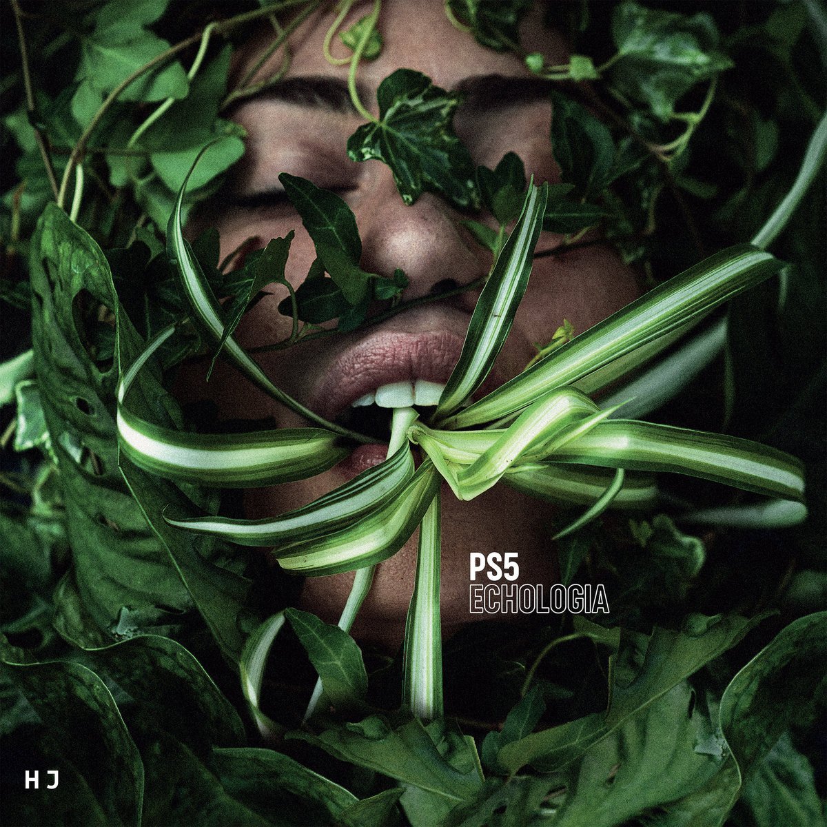 CD Shop - PS5 ECHOLOGIA