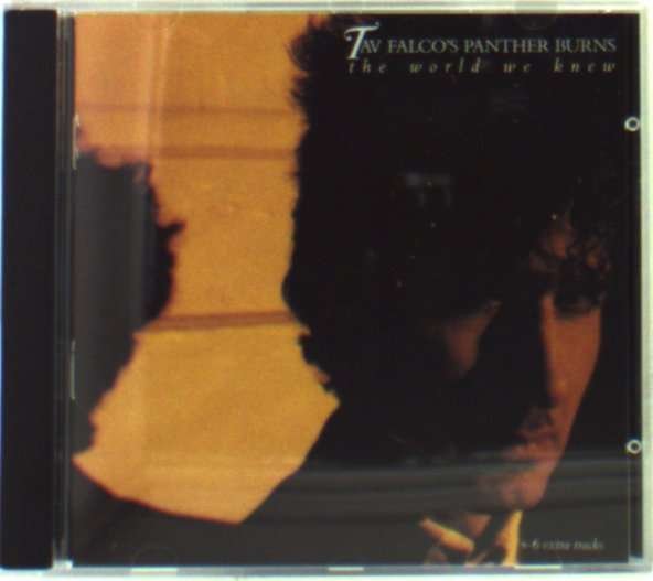 CD Shop - TAV FALCO WORLD WE KNEW