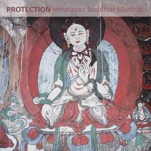 CD Shop - VARIOUS ARTISTS PROTECTION