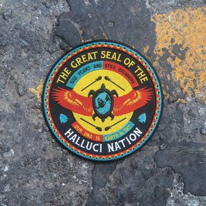 CD Shop - HALLUCI NATION WE ARE THE HALLUCI NATION