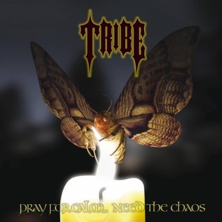 CD Shop - TRIBE PRAY FOR CALM...