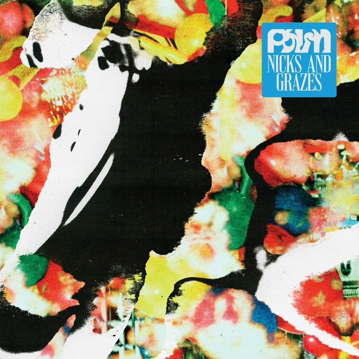 CD Shop - PALM NICKS AND GRAZES