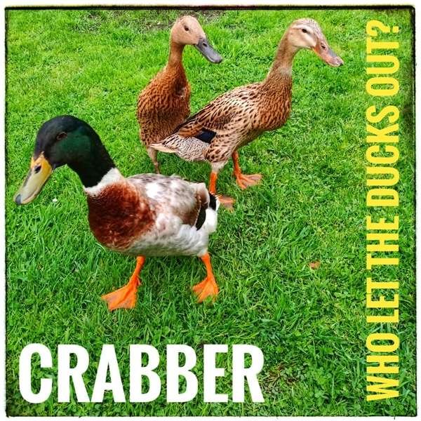 CD Shop - CRABBER WHO LET THE DUCKS OUT?
