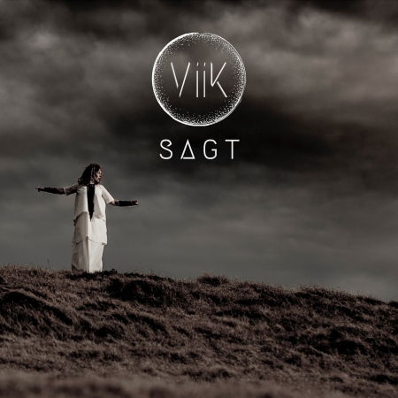CD Shop - VIIK SAGT