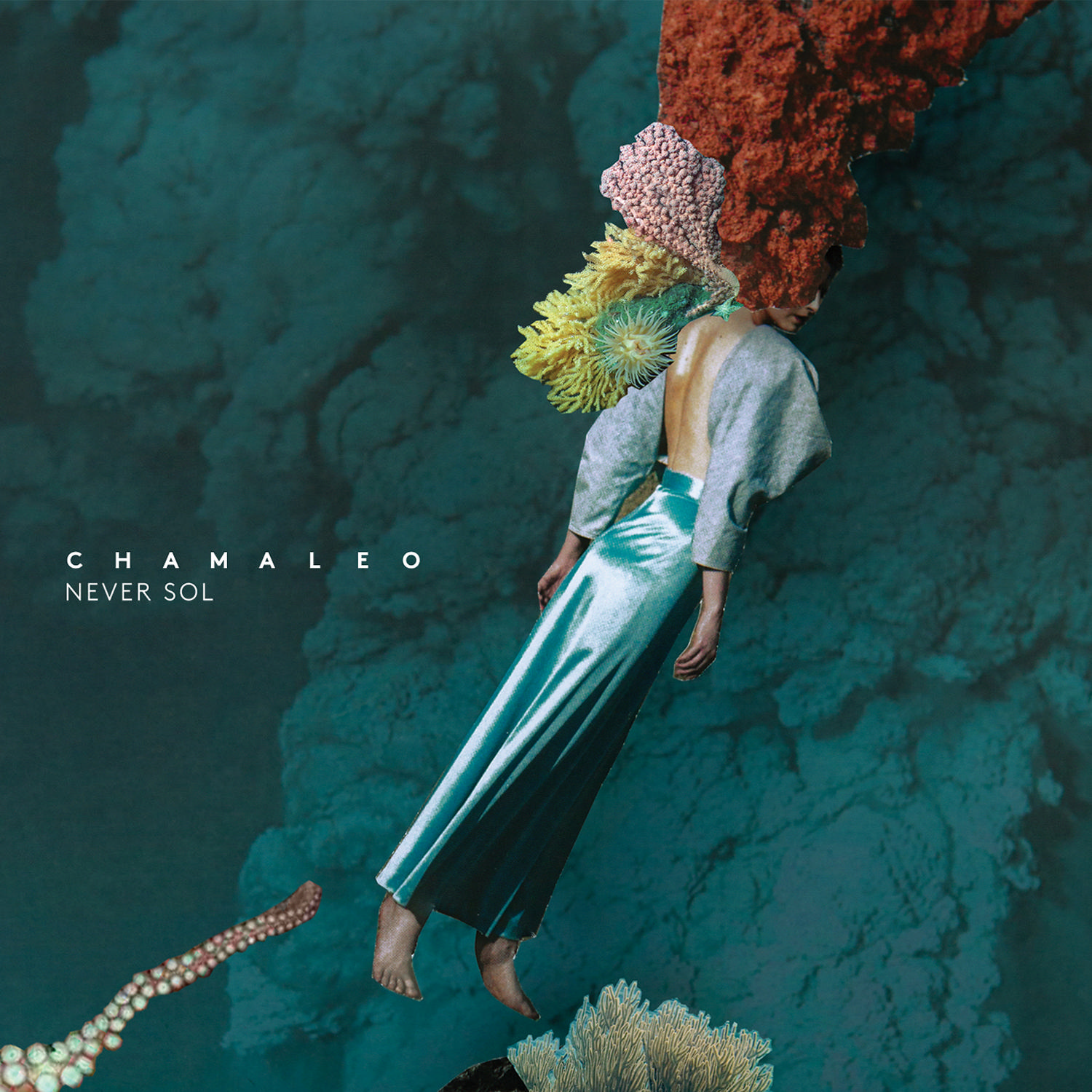 CD Shop - NEVER SOL CHAMALEO
