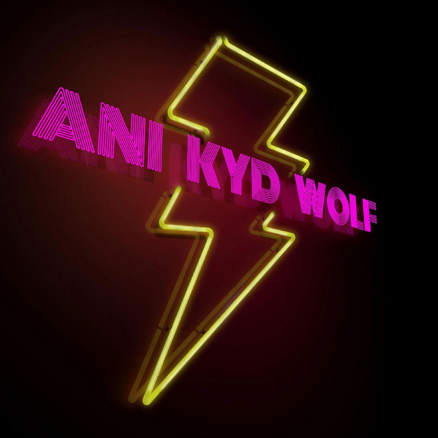 CD Shop - ANI KYD WOLF LAST STEPS OF MAN-UN-KIND