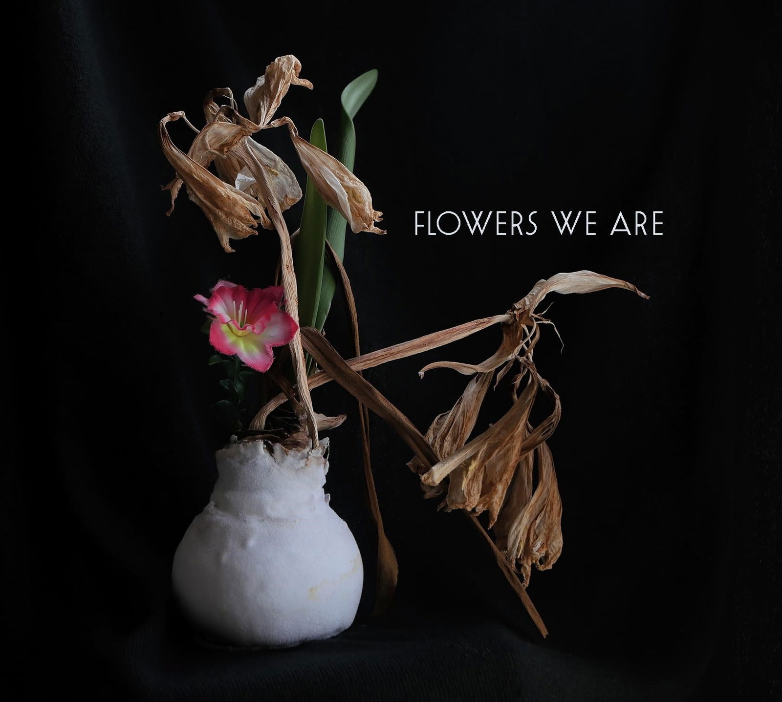 CD Shop - FLOWERS WE ARE FLOWERS WE ARE