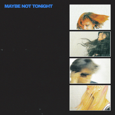 CD Shop - LIME GARDEN MAYBE NOT TONIGHT LTD.