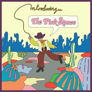 CD Shop - PINK STONES INTRODUCING...