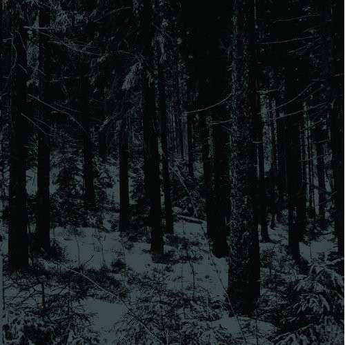 CD Shop - MOLOCH ABSTRAKTER WALD