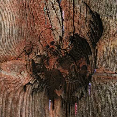 CD Shop - AVEY TARE\