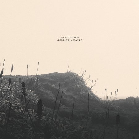 CD Shop - ALBINOBROTHERS GOLIATH AWAKES