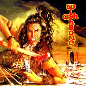 CD Shop - WISHBONE ASH RAW TO THE BONE