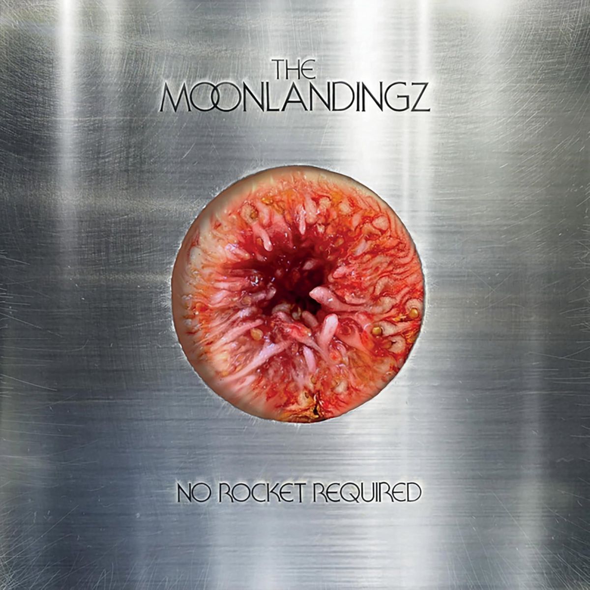CD Shop - THE MOONLANDINGZ NO ROCKET REQUIRED