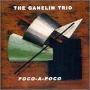 CD Shop - GANELIN TRIO POCO A POCO