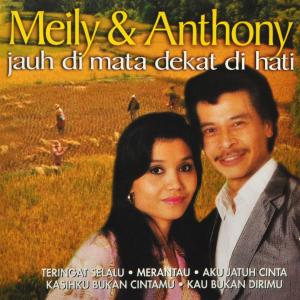 CD Shop - MEILY & ANTHONY JAUH DI MATA DEKAT DI ...