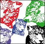 CD Shop - TIGER & WOODS THROUGH THE GREEN