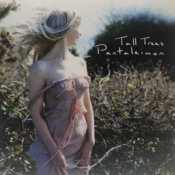 CD Shop - PANTALEIMON TALL TREES