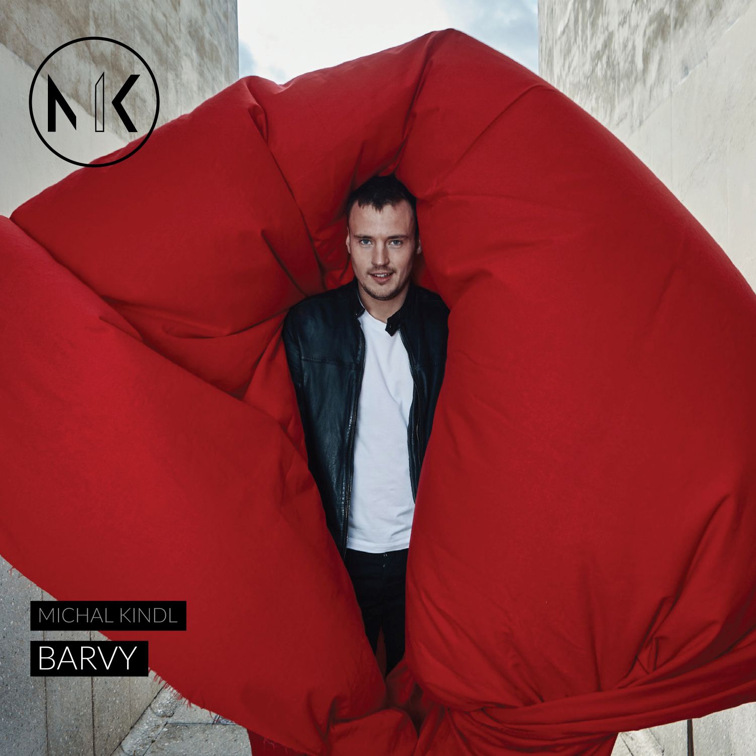 CD Shop - KINDL MICHAL BARVY