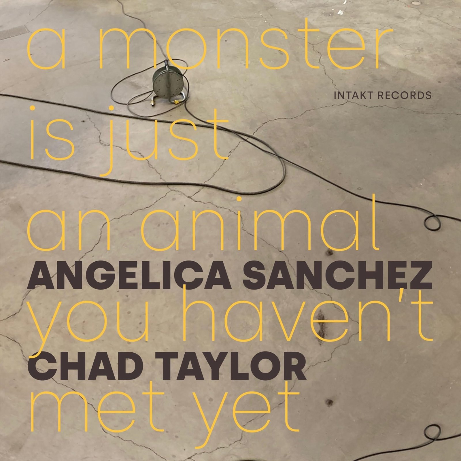 CD Shop - ANGELICA SANCHEZ,CHAD TAYLOR A MONSTER IS JUST AN A...