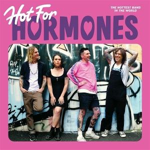CD Shop - HORMONES HOT FOR HORMONES