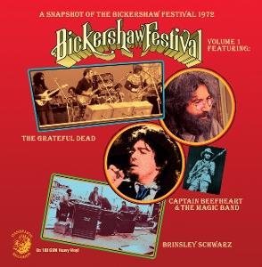 CD Shop - VARIOUS ARTISTS A SNAPSHOT OF THE BICK...