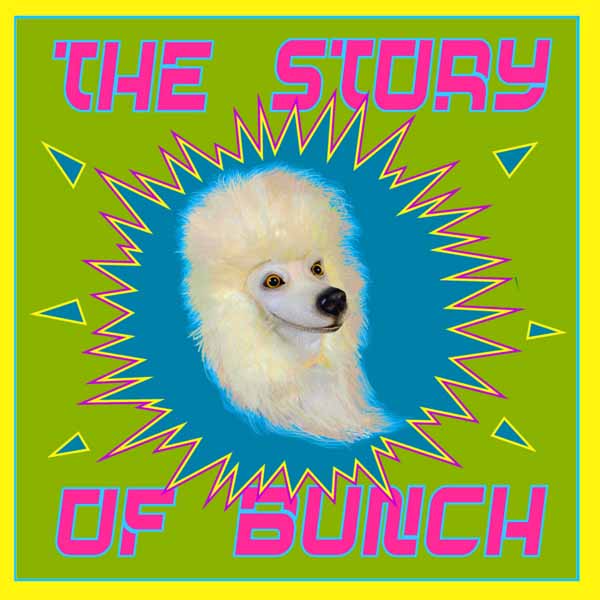 CD Shop - LANDIS HARRY LARRY THE STORY OF BUNCH