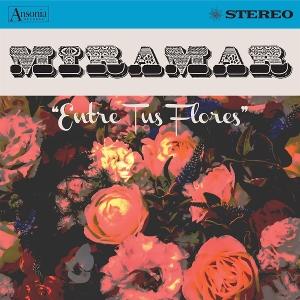 CD Shop - MIRAMAR ENTRE TUS FLORES