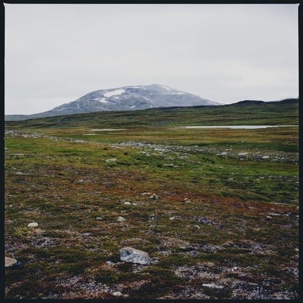 CD Shop - TUNDRA GIDGE