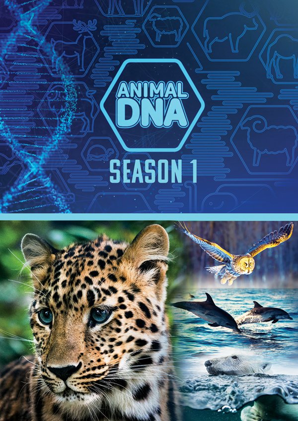 CD Shop -  ANIMAL DNA: SEASON ONE