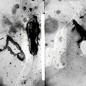 CD Shop - CERTAIN CREATURES VIPASSANA