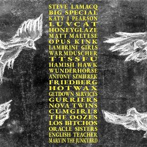 CD Shop - VARIOUS ARTISTS A HIDEOUS COLLECTIVE