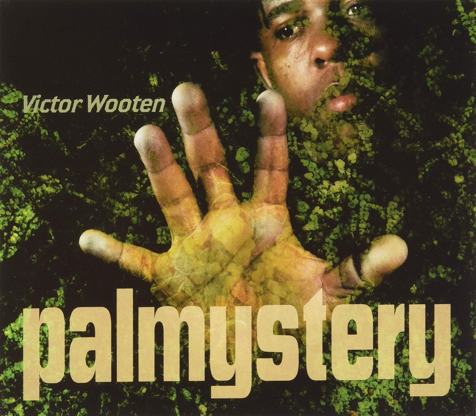 CD Shop - VICTOR WOOTEN PALMYSTERY