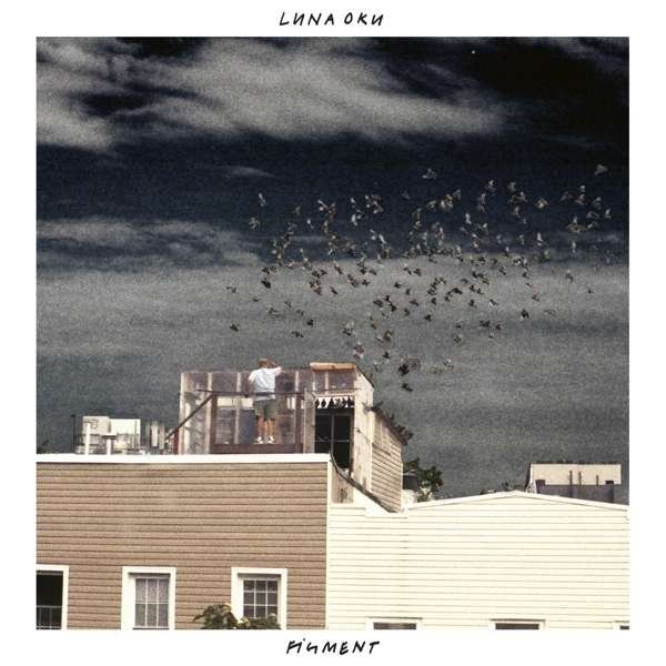 CD Shop - LUNA OKU FIGMENT