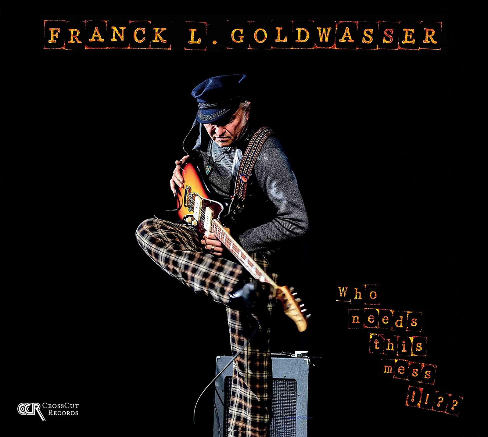 CD Shop - FRANK L. GOLDWASSER WHO NEEDS THIS MESS?!!