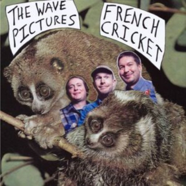 CD Shop - THE WAVE PICTURES FRENCH CRICKET