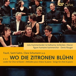 CD Shop - JULIA KAMMERLANDER WO DIE ZITRONEN BLUH\