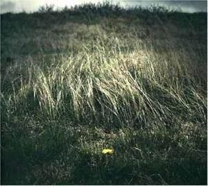 CD Shop - NORTH SEA & RAMESES III NIGHT OF THE ANKOU