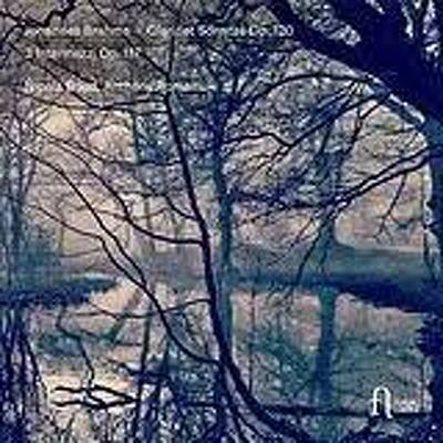 CD Shop - PIERRE DESANGLES SONATES DE GUERRE