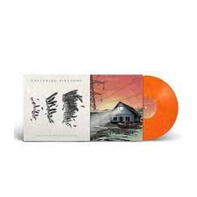 CD Shop - EXPLORING BIRDSONG DANCING IN THE FACE OF...