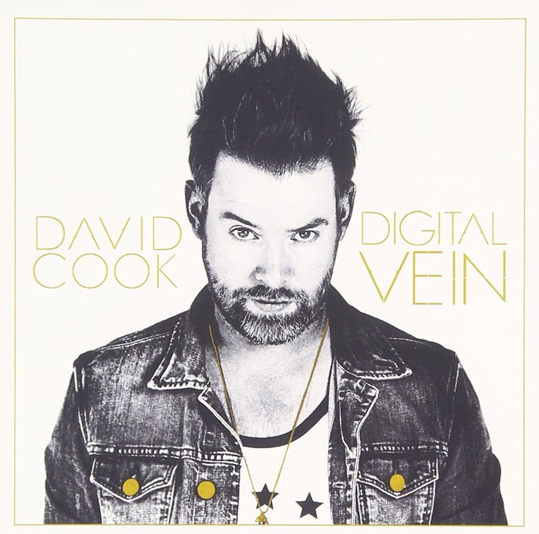CD Shop - DAVID COOK DIGITAL VEIN