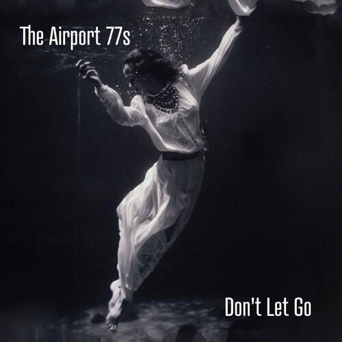 CD Shop - AIRPORT 77\