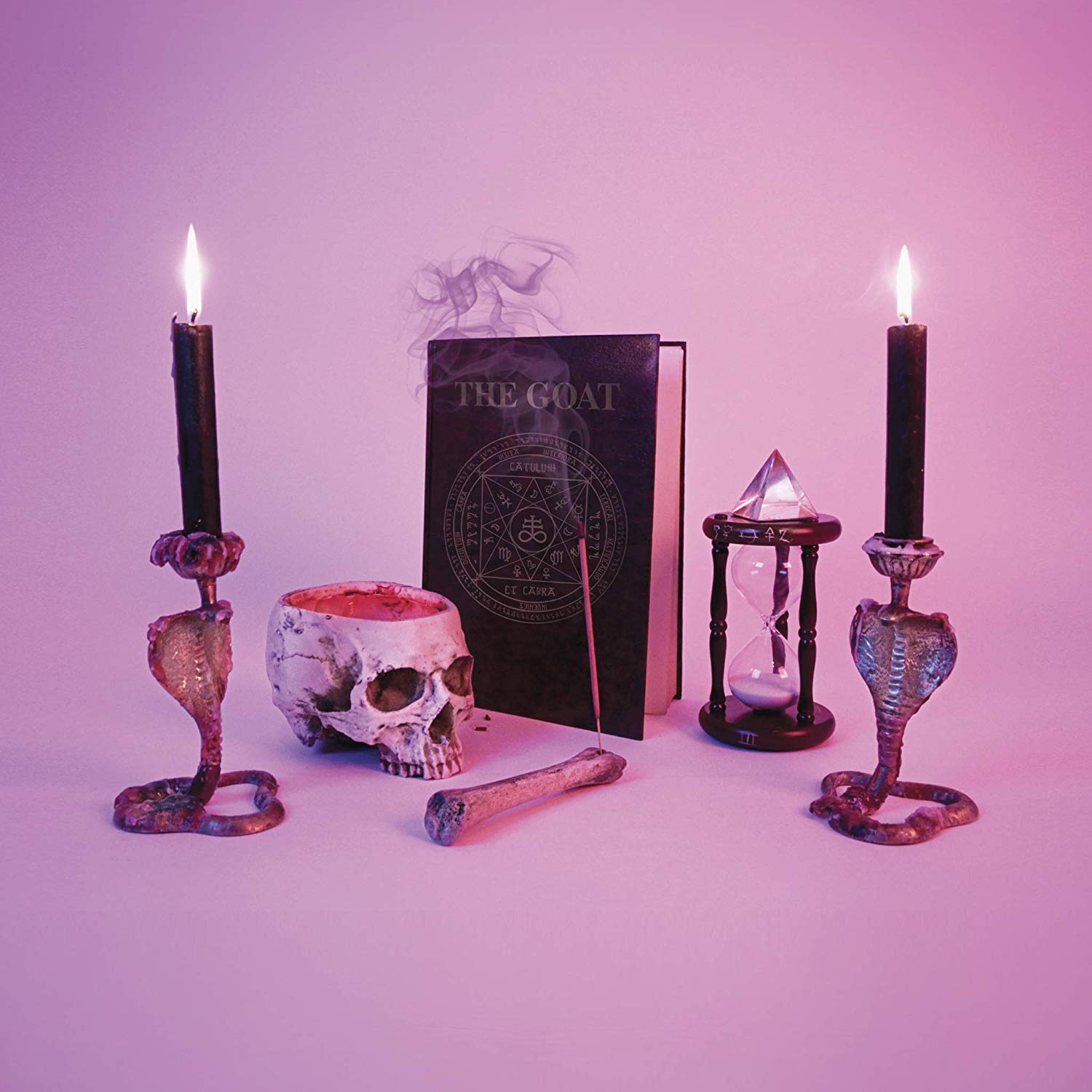 CD Shop - PUPPY GOAT