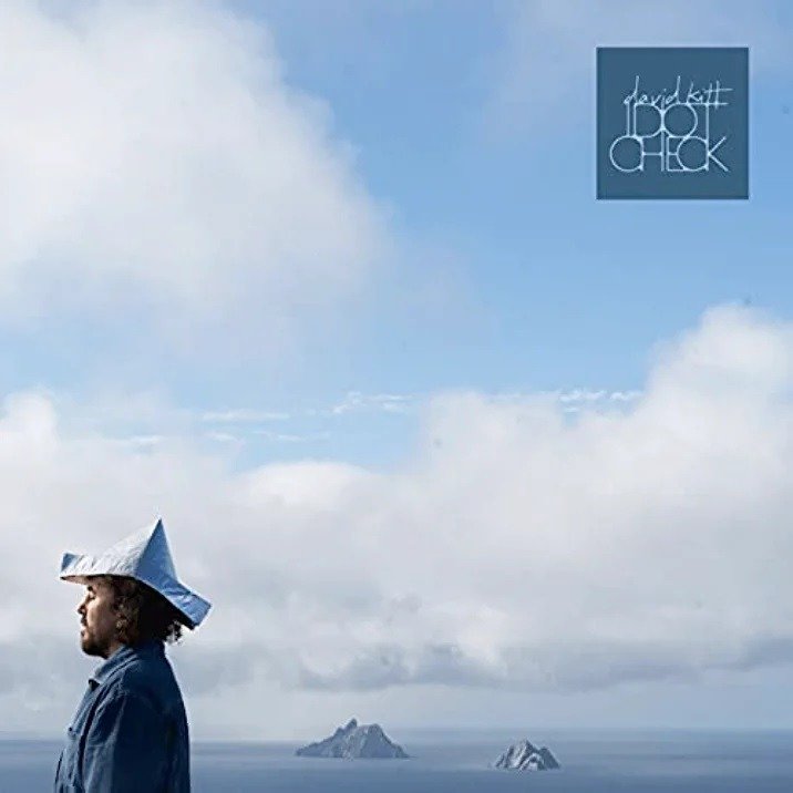 CD Shop - DAVID KITT IDIOT CHECK
