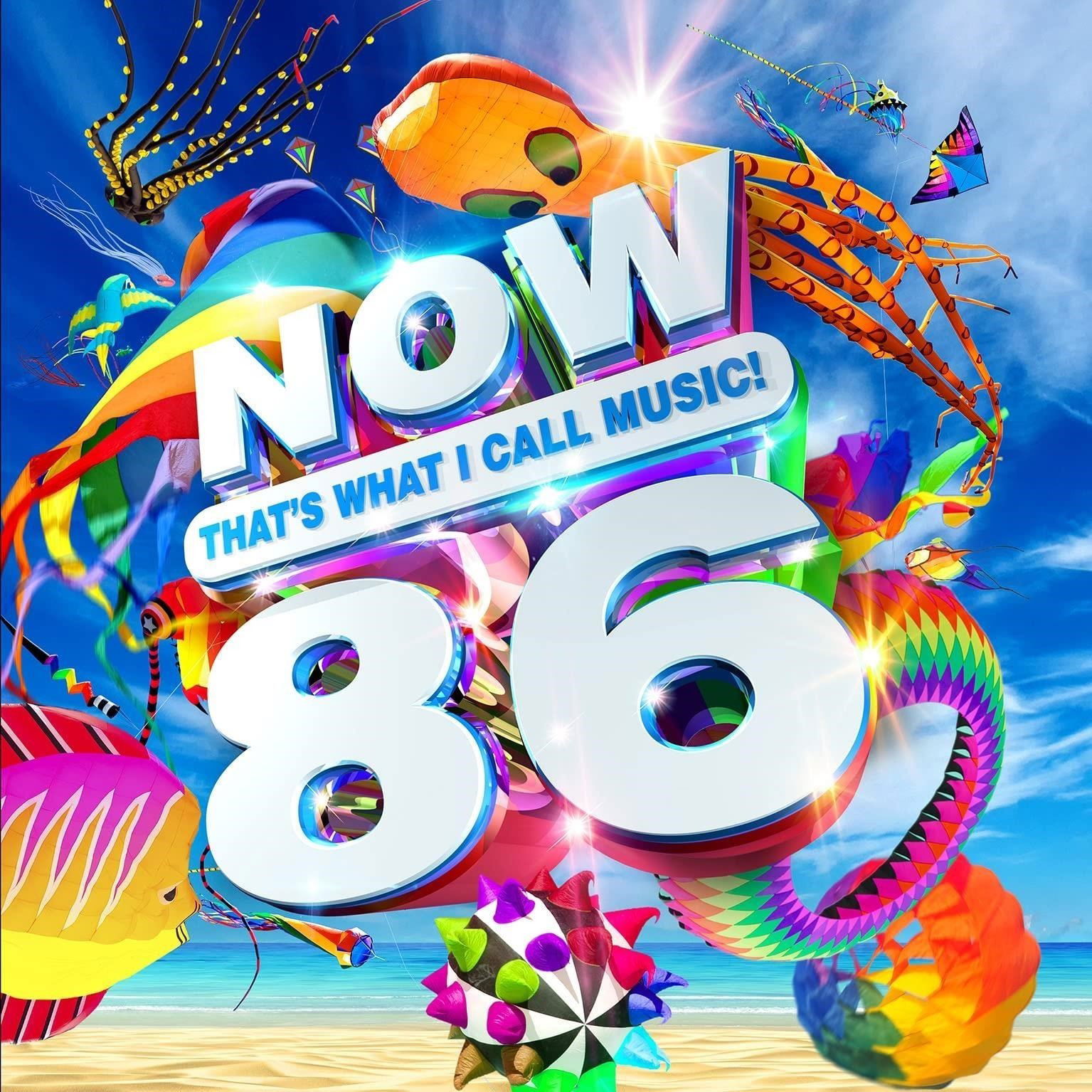 CD Shop - VARIOUS ARTISTS NOW THAT\