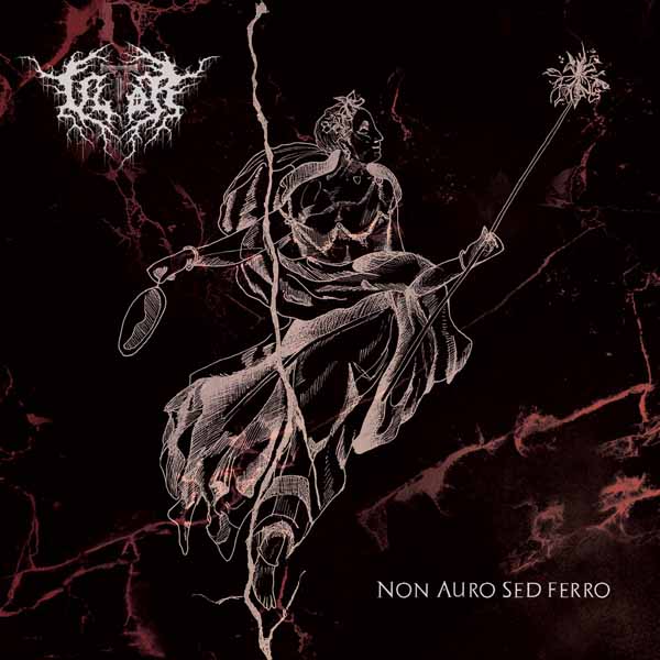 CD Shop - VLTOR NON AURO SED FERRO